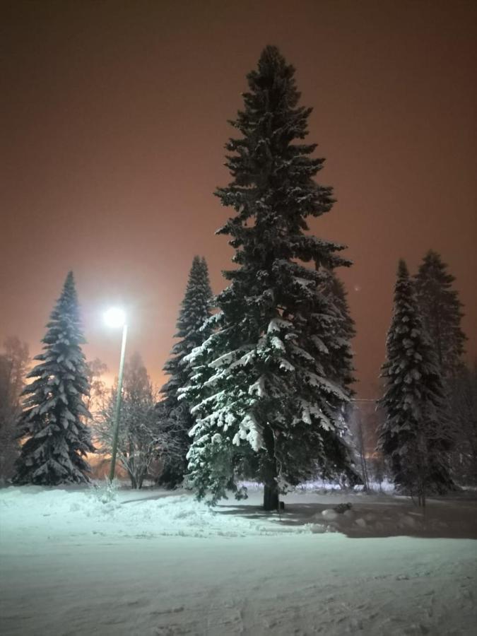 Kontiomaki Apartman Kültér fotó